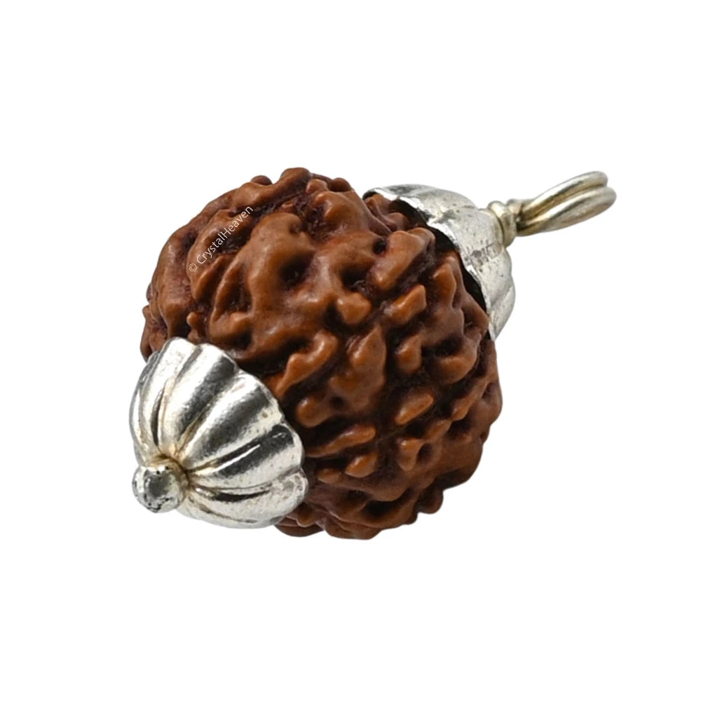 7 Mukhi Rudraksha Pendant (Silver)