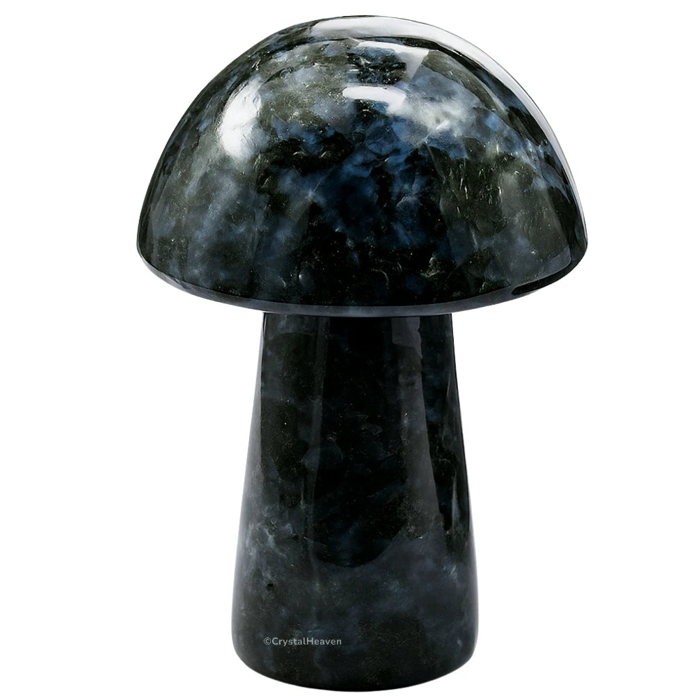 Indigo Gabbro Mushroom