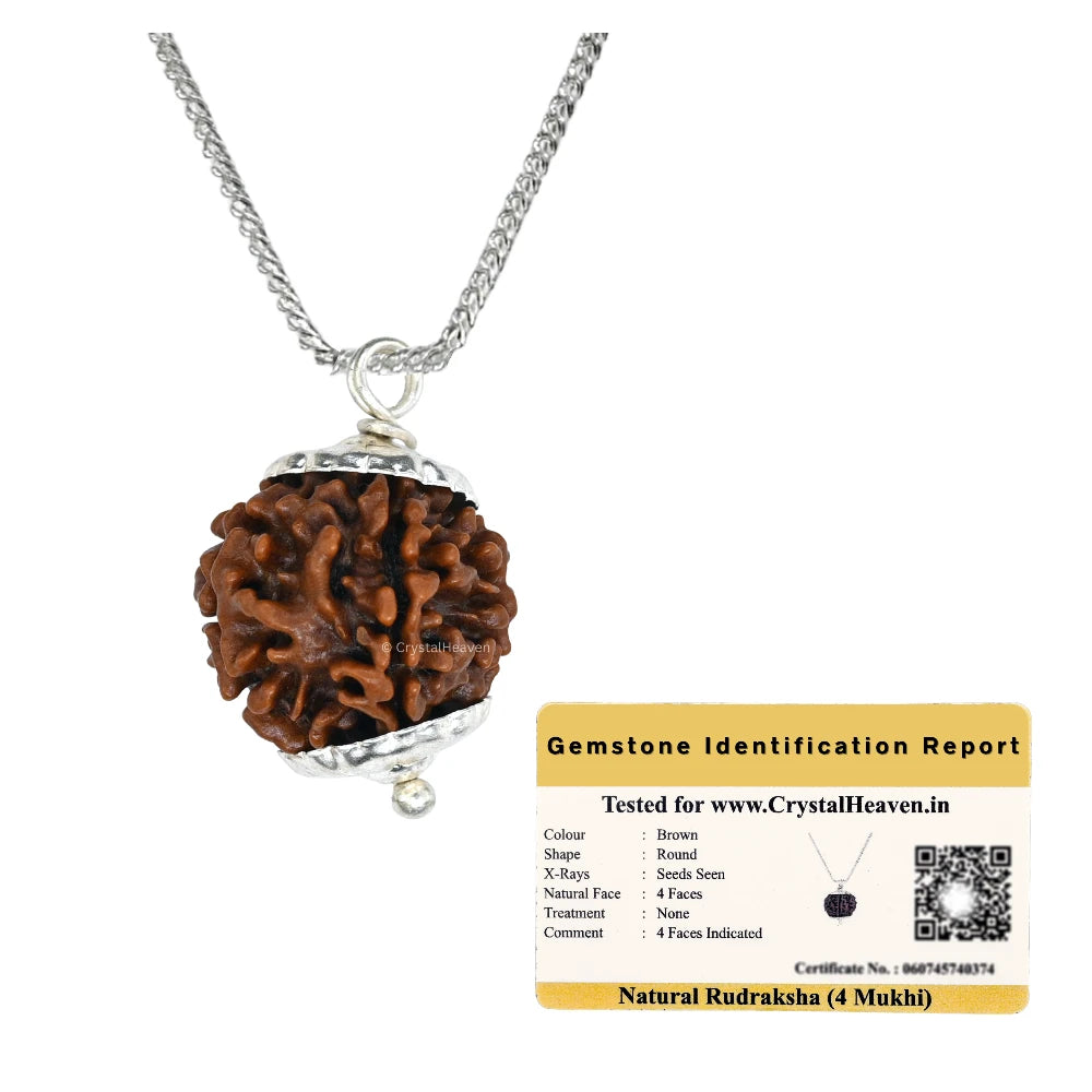 4 Mukhi Rudraksha Pendant (Silver)