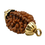 2 Mukhi Rudraksha Pendant (Gold)