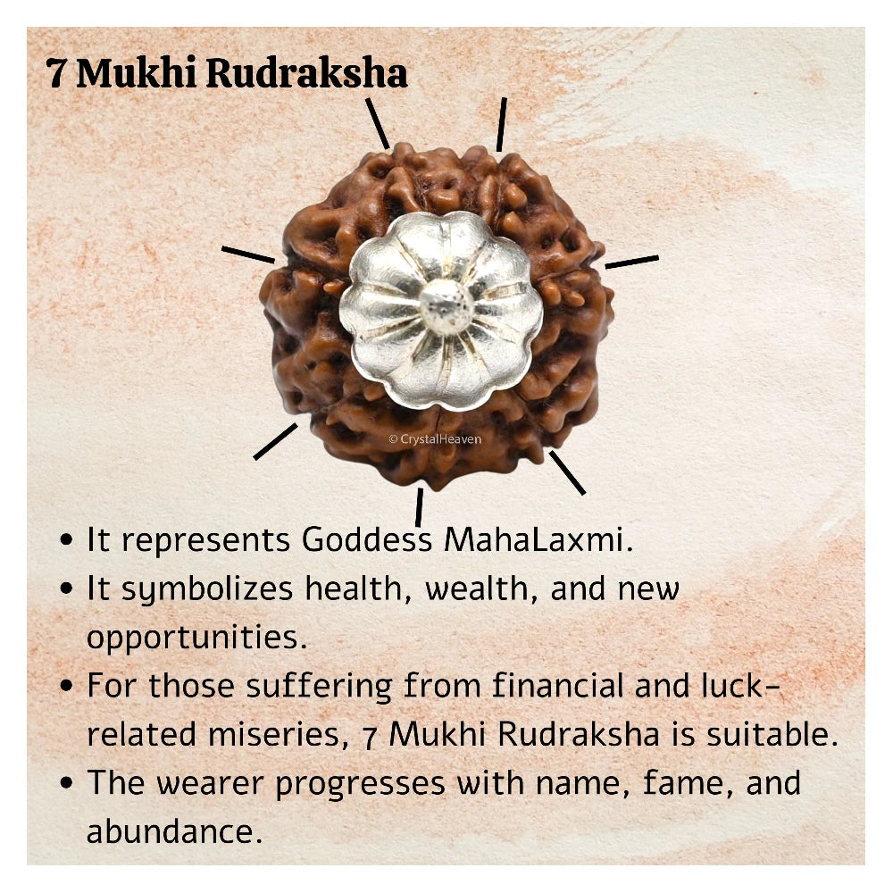 7 Mukhi Rudraksha Pendant (Silver)