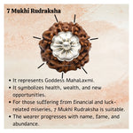 7 Mukhi Rudraksha Pendant (Silver)
