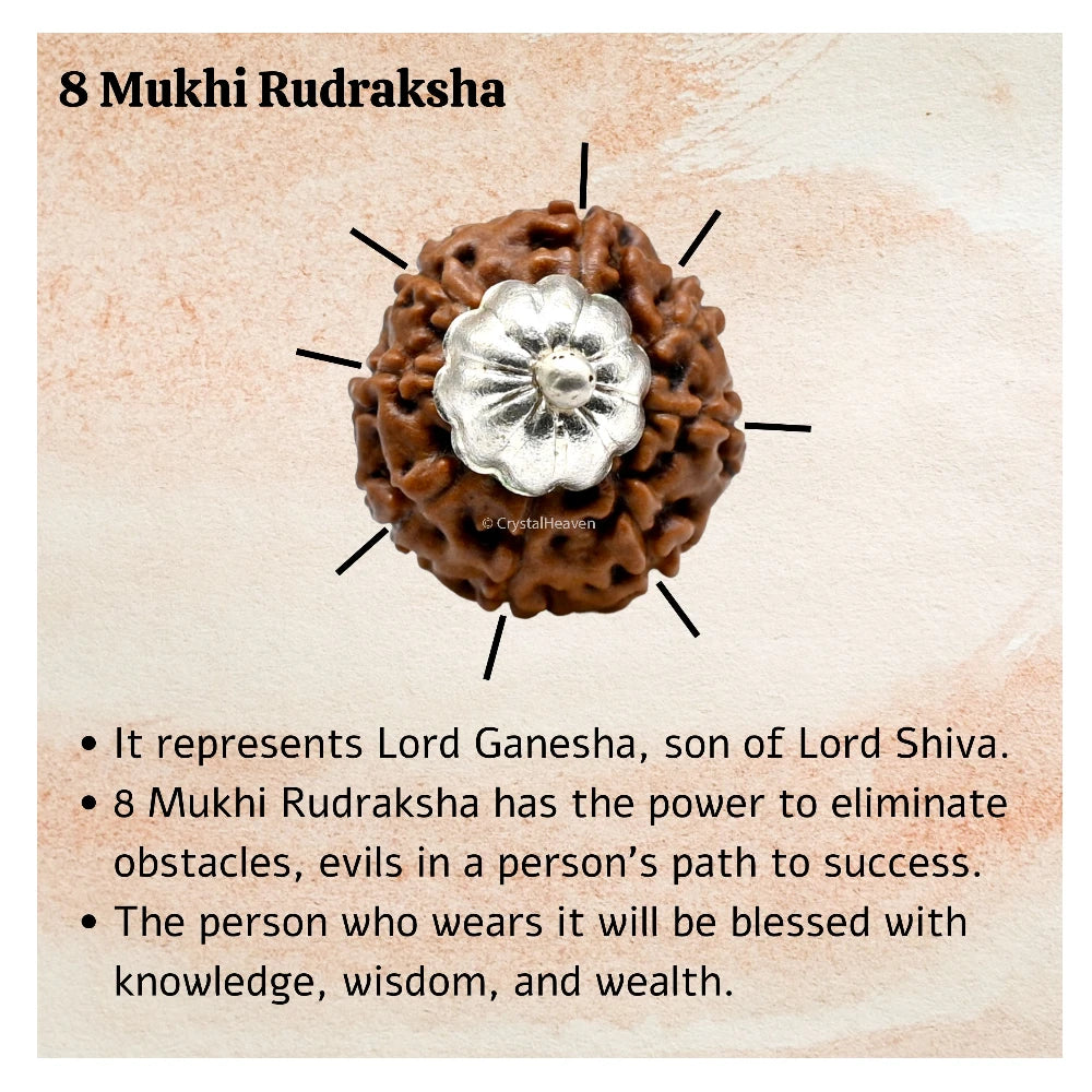 8 Mukhi Rudraksha Pendant (Silver)