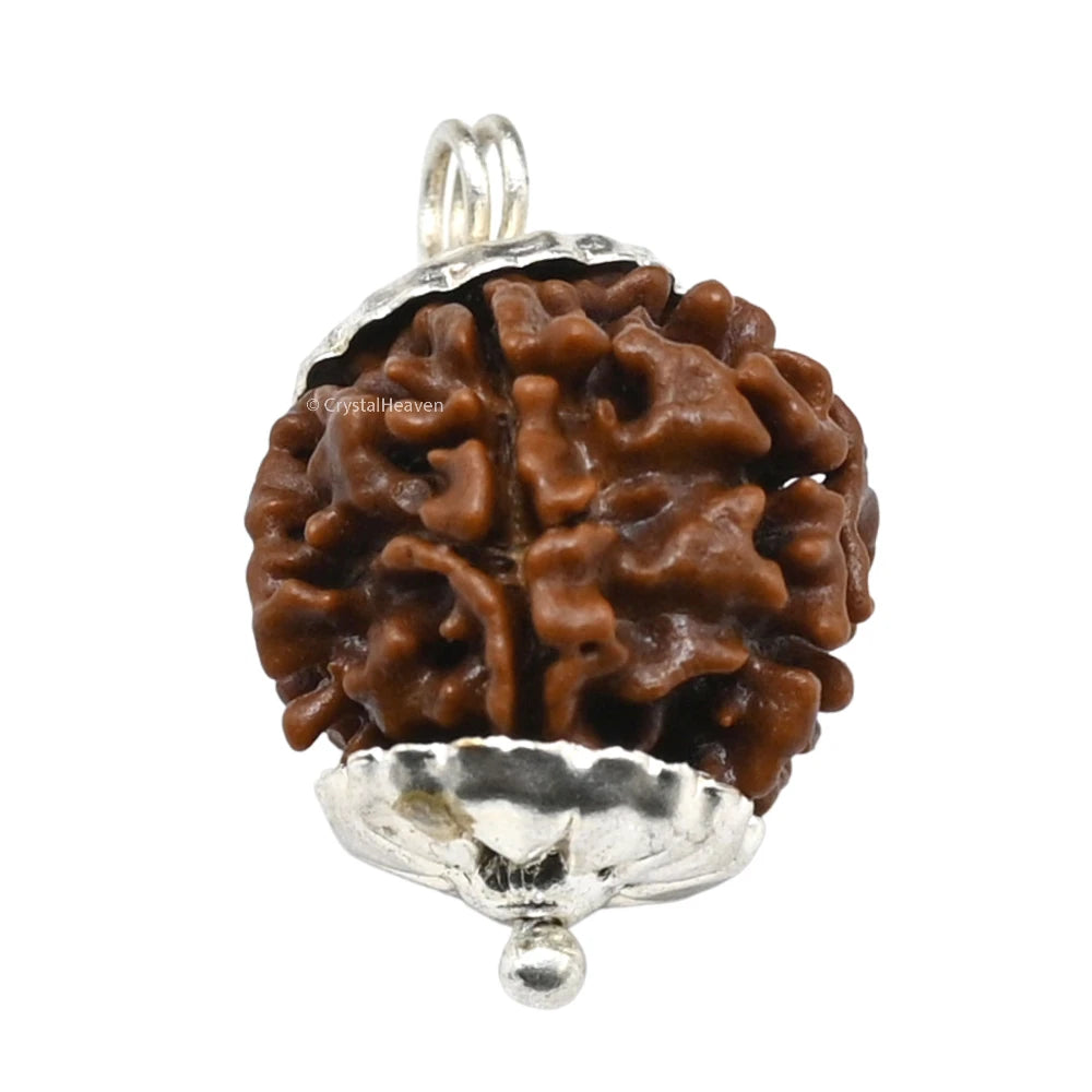 5 Mukhi Rudraksha Pendant (Siver)