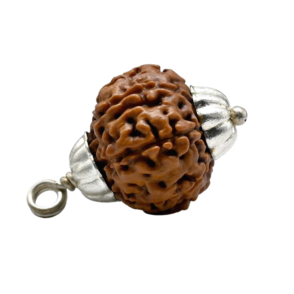 8 Mukhi Rudraksha Pendant (Silver)
