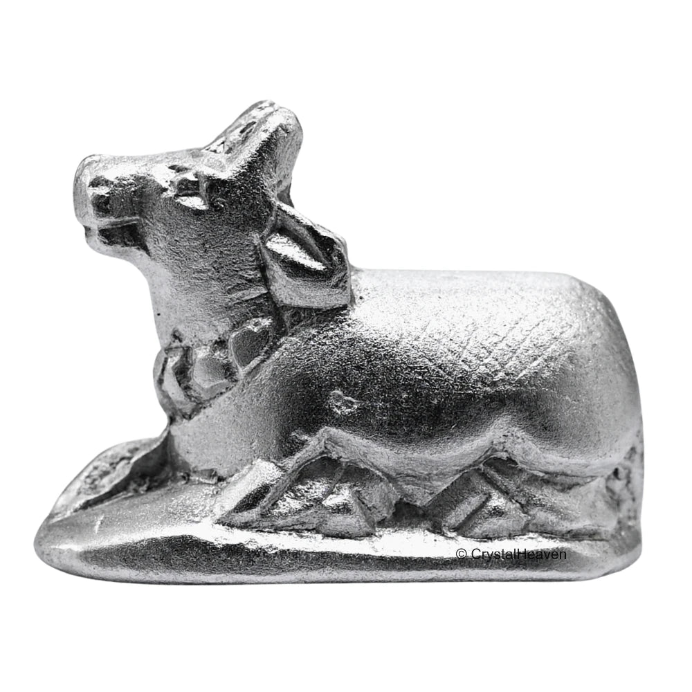 Nandi Parad Idol (63 Gram, 1 Inch)