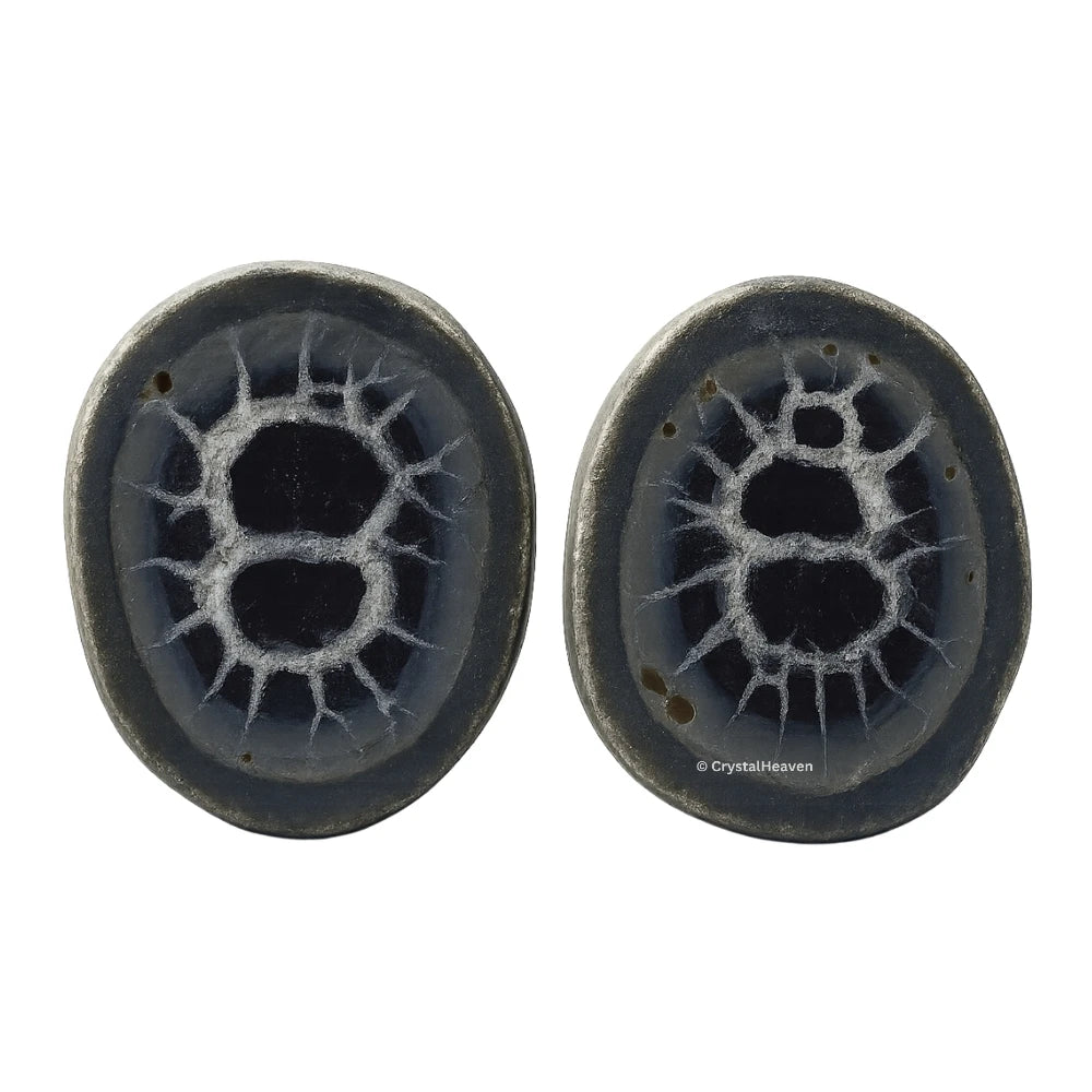 Natural Septarian Nodules Fossilized - Pair of 2 (Medium)