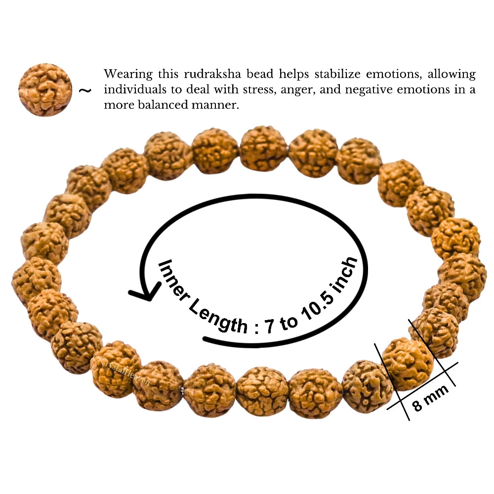 Rudraksha Bracelet (Elastic)