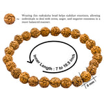 Rudraksha Bracelet (Elastic)