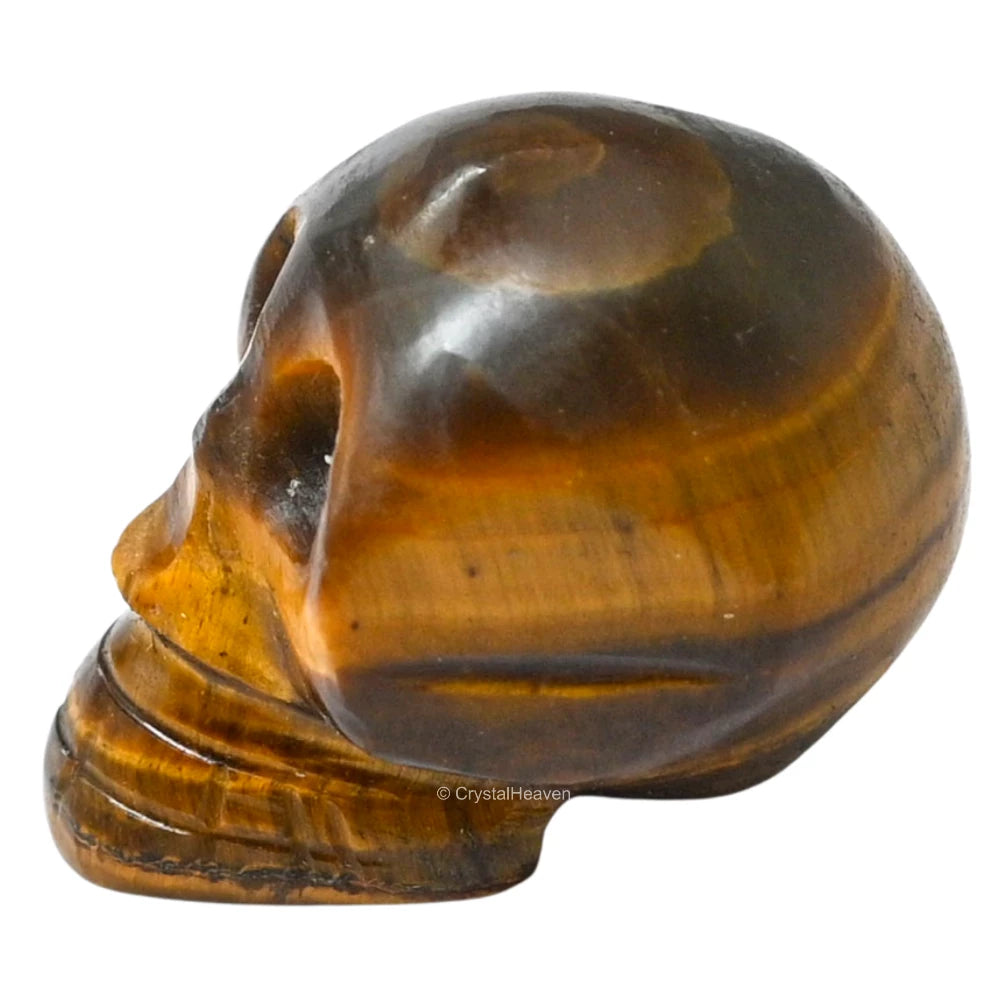 Tiger Eye Skull