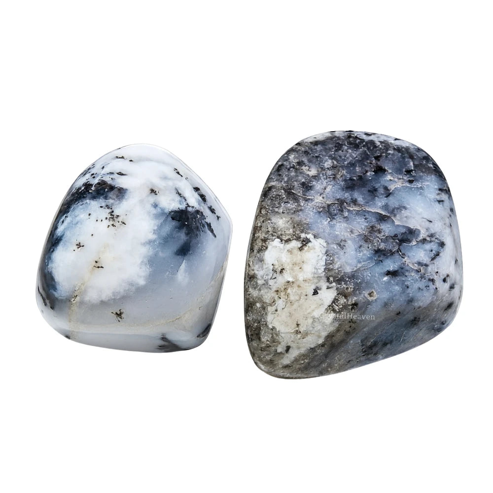 Tumbled Dendrite Opal Stones (30 Gram)