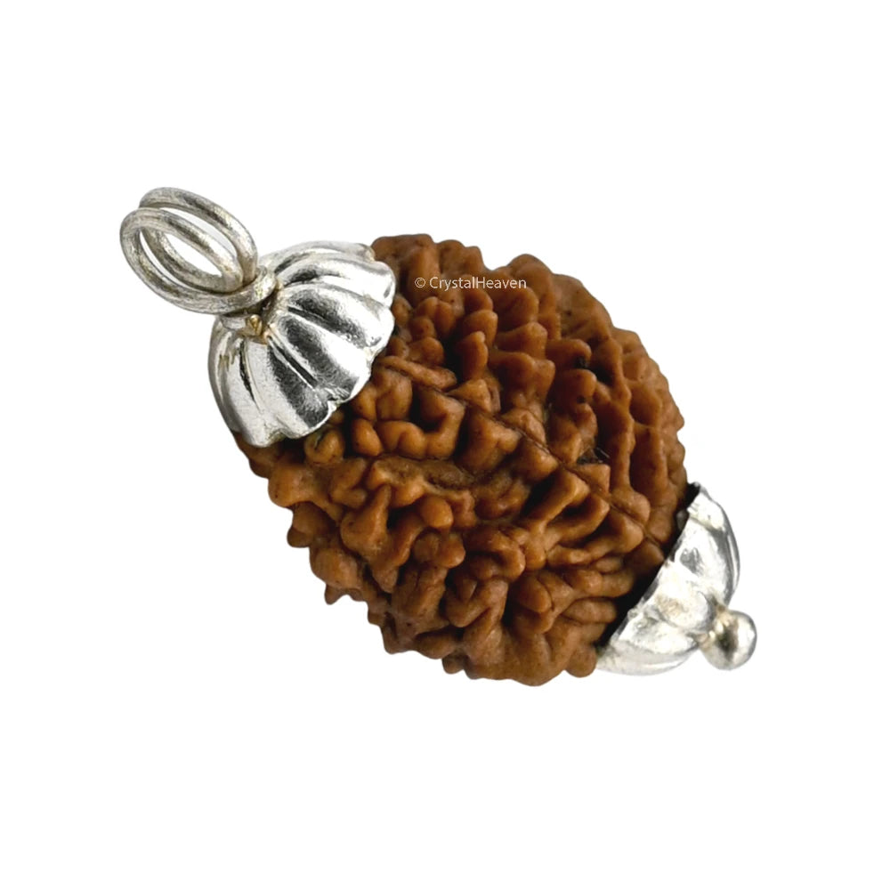 2 Mukhi Rudraksha Pendant (Silver)