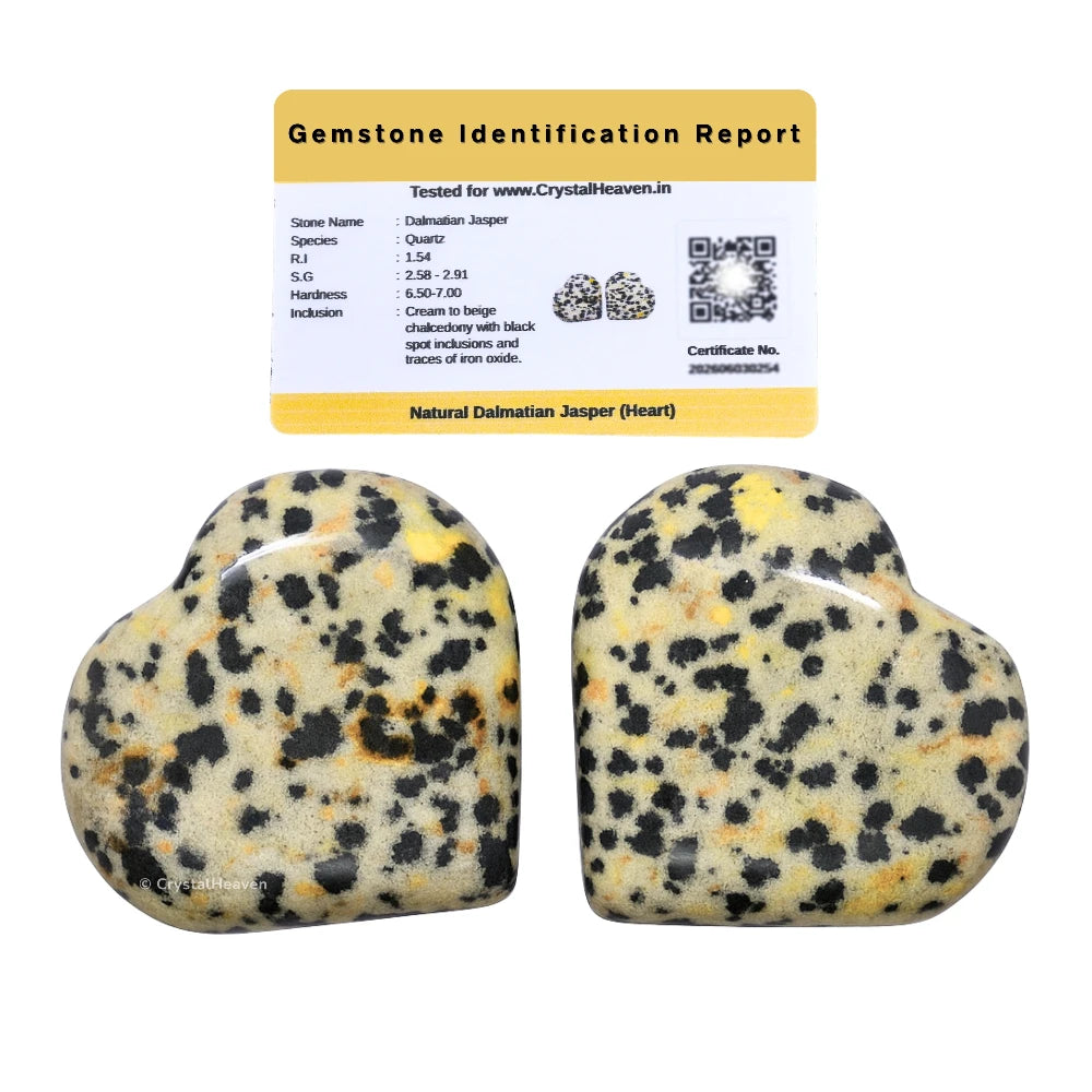 Dalmatian Jasper Mini Heart (Pack of 2)