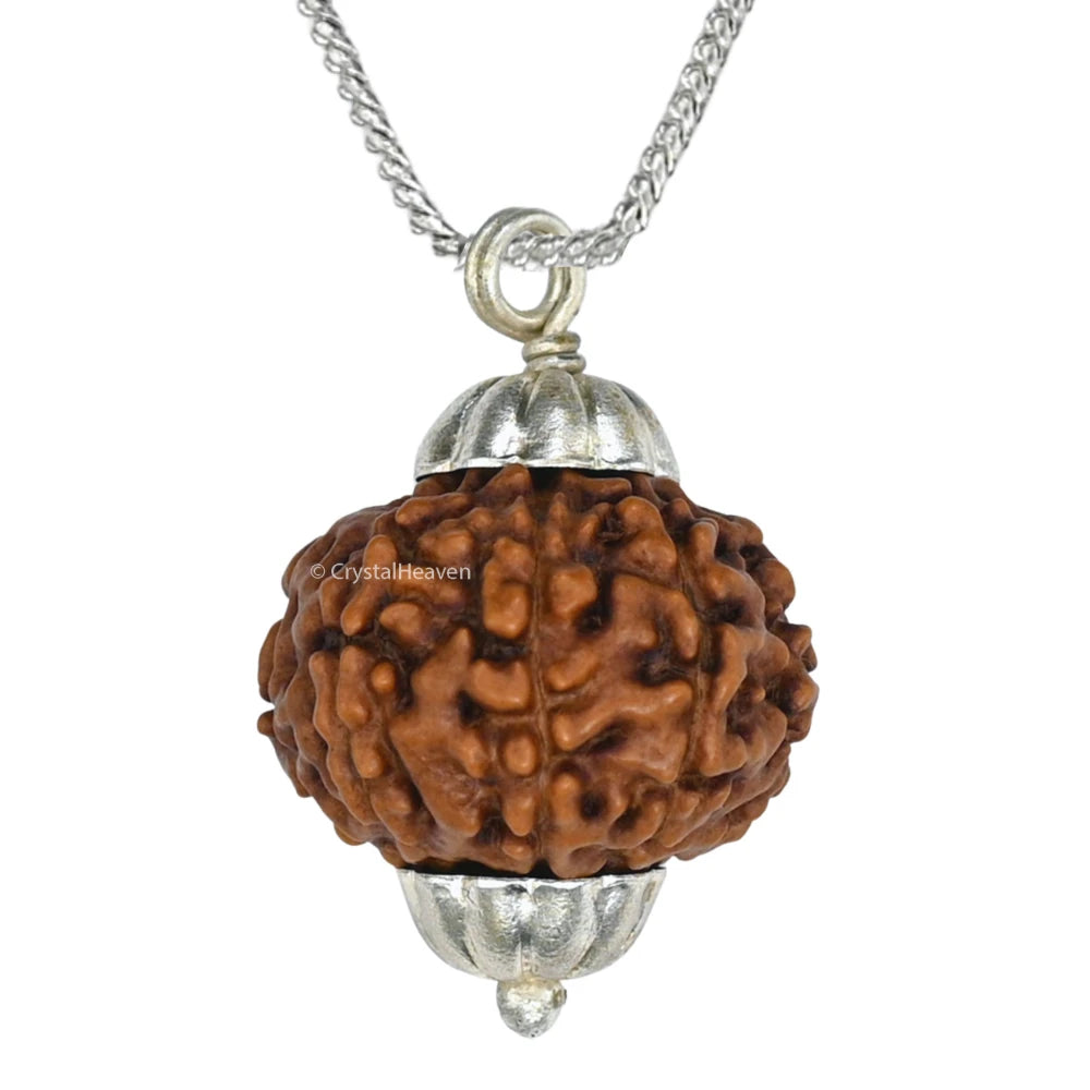 9 Mukhi Rudraksha Pendant (Silver)