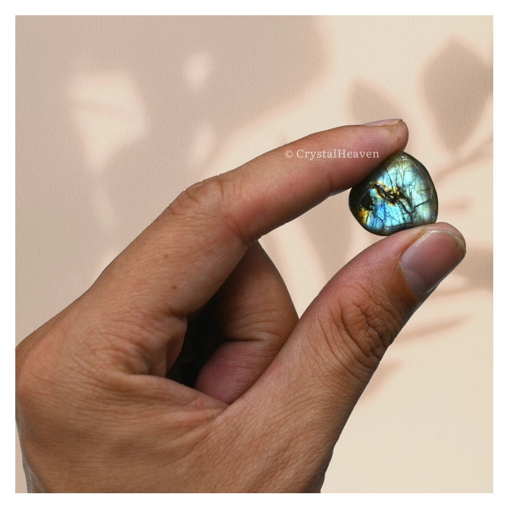 Tumbled Labradorite Stones (30 Gram)