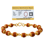 6mm Rudraksha Bracelet (Gold Chain)