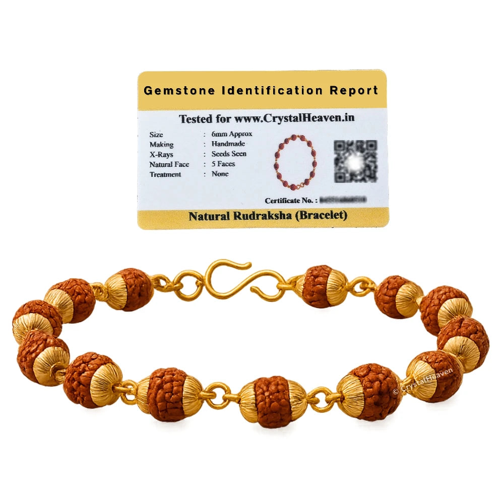6mm Rudraksha Bracelet (Gold Chain)
