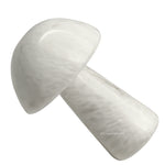 Scolecite Mushroom