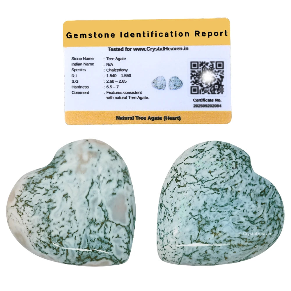 Tree Agate Mini Heart (Pack of 2)
