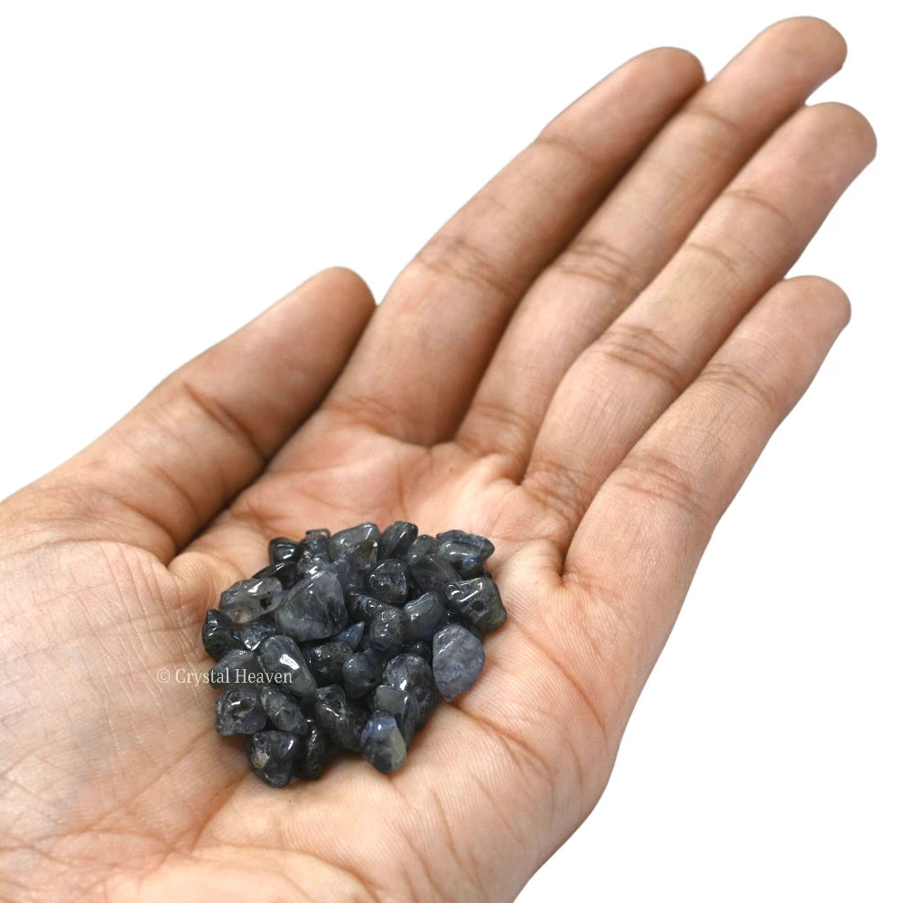 Iolite Chips - Pre Drilled