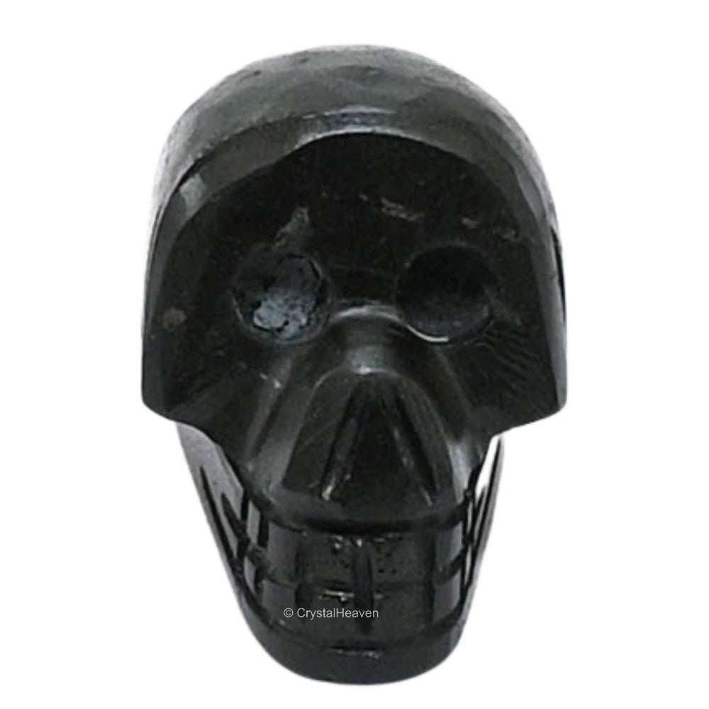 Shungite Skull