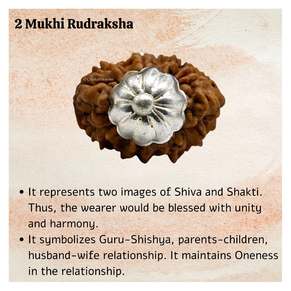 2 Mukhi Rudraksha Pendant (Silver)